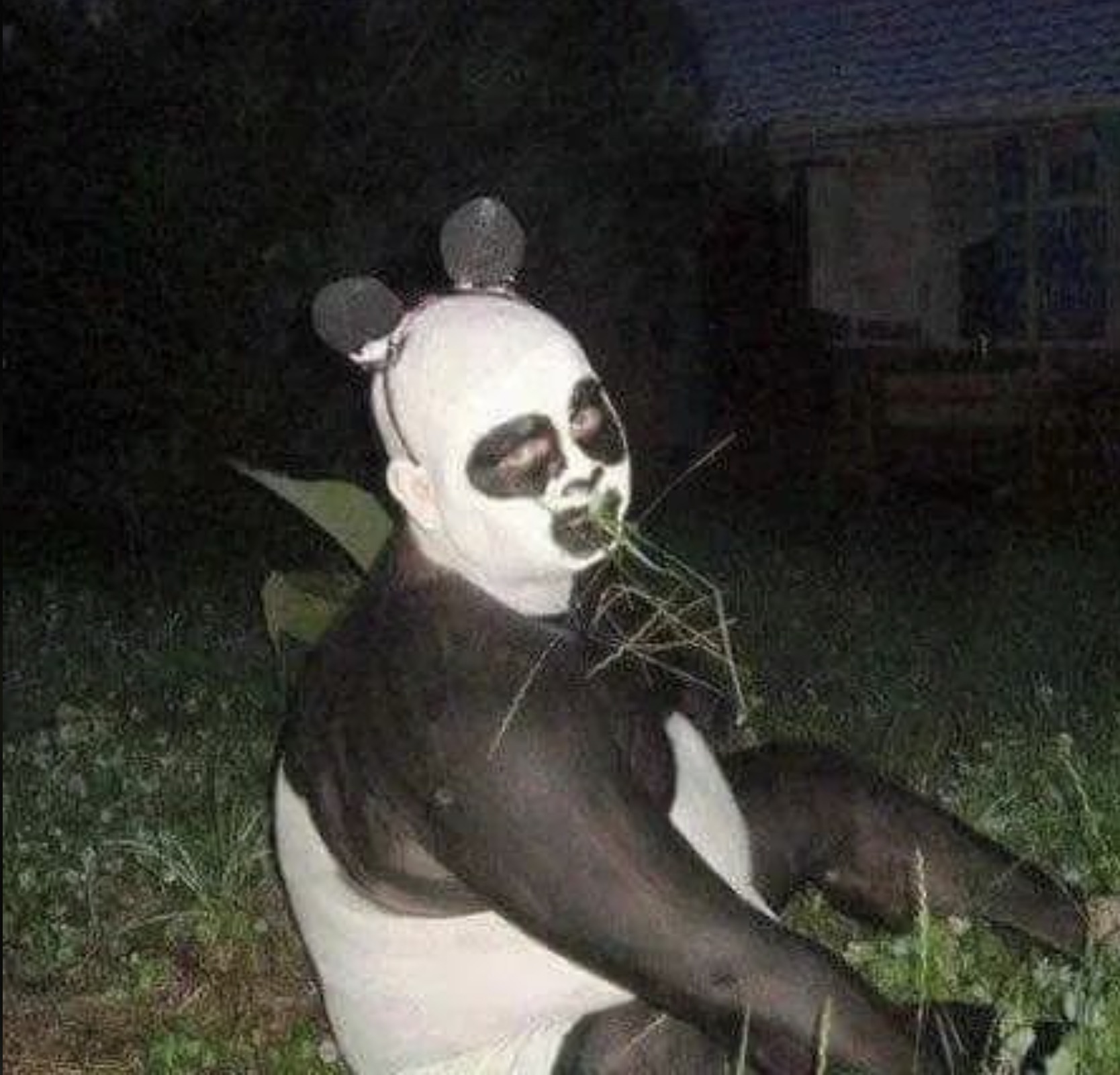 cursed panda man